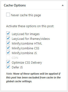 WP-Rocket-Cache-Options-in-editor