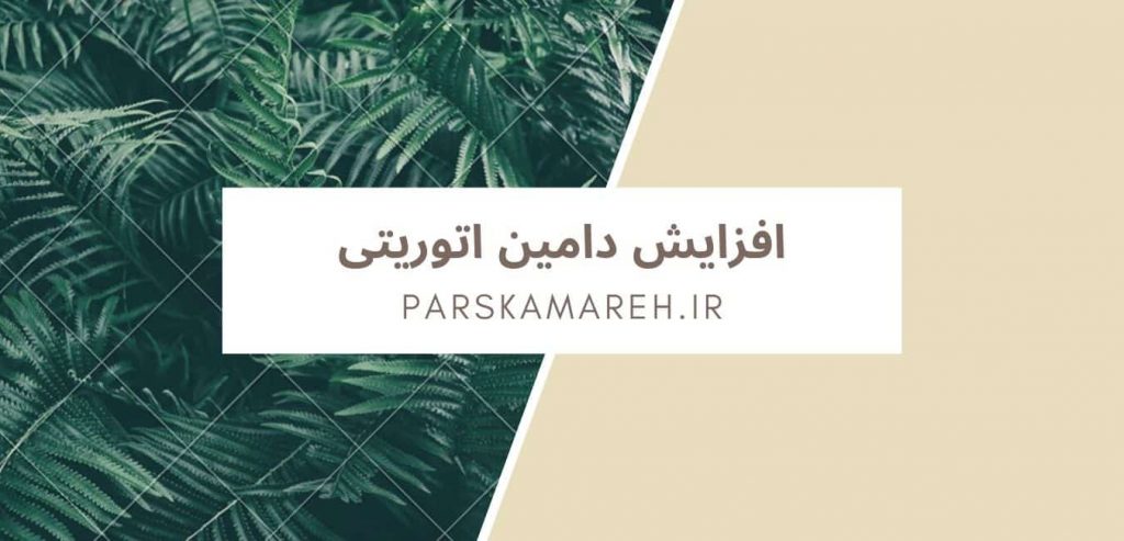 افزایش دامین اتوریتی